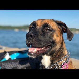 Meet your Posher, Keena